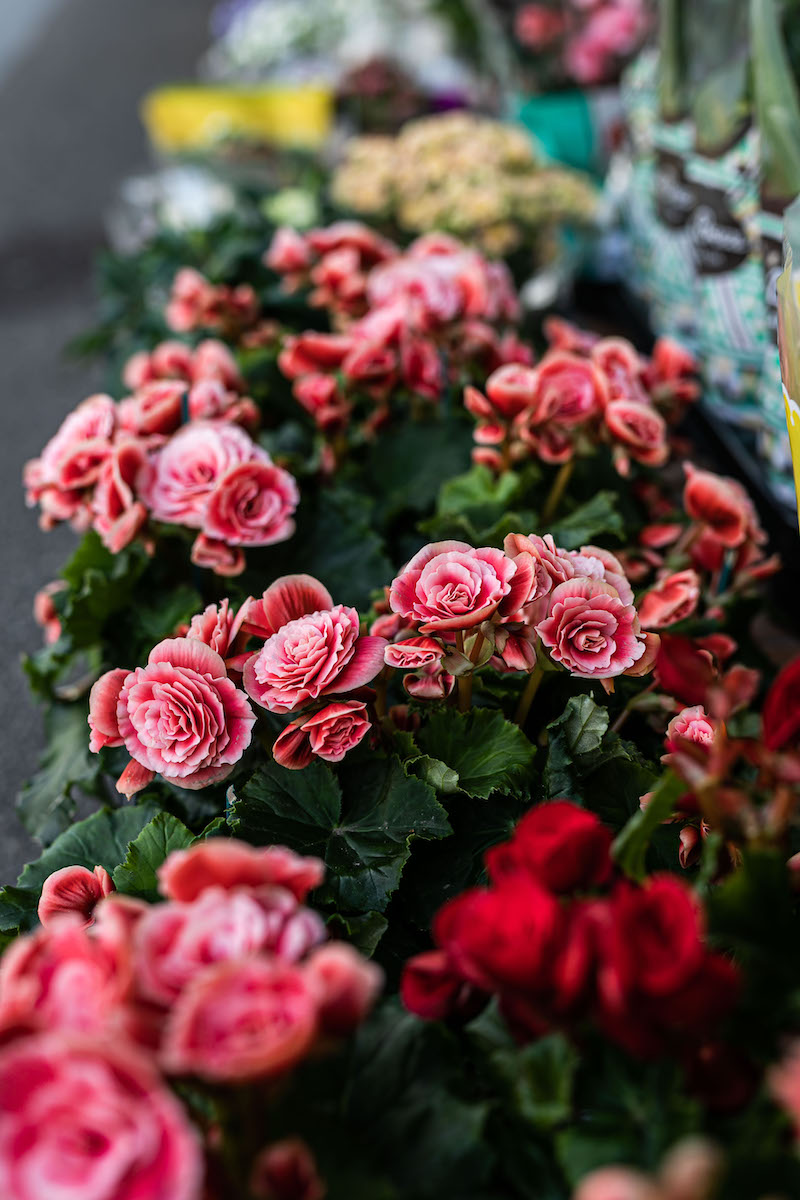 Allestimenti floreali balconi e terrazzi | Russo Fiori Milano